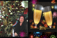 flyer ng2016 internet
