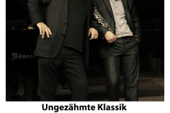 Ungezaehmteklassik